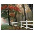 thumbnail image 1 of Trees Leaves Ceramic Tile Mural Kitchen Backsplash Bathroom Shower, 406017-M54, 1 of 3