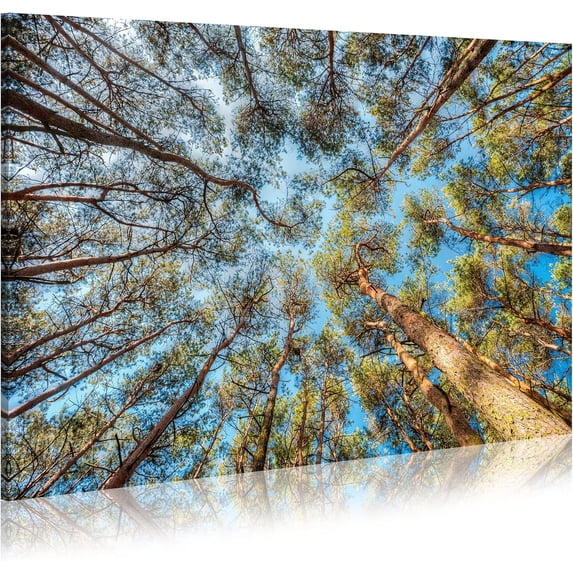 Trees Nature Canvas Wall Art - Calm Forest Life Picture Look Up the Tree Peaceful Blue Sky Modern Artwork Painting for Office Kitchen