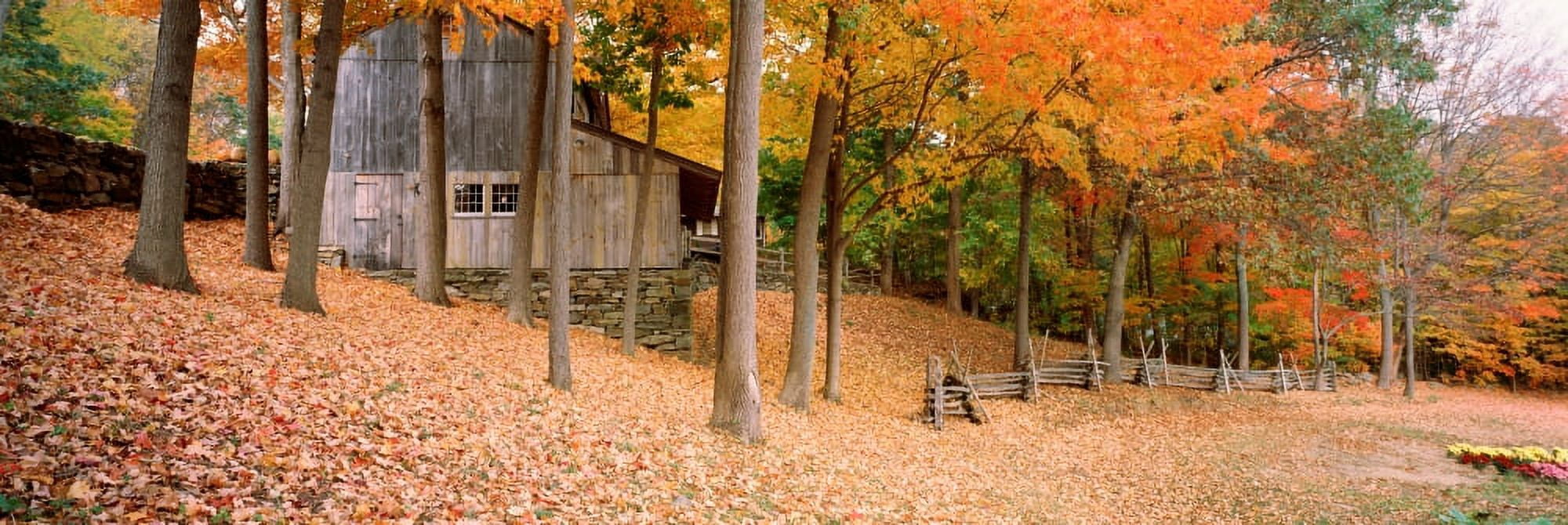 Trees On A Hill Connecticut USA Canvas Art - Panoramic Images (27 x 9)