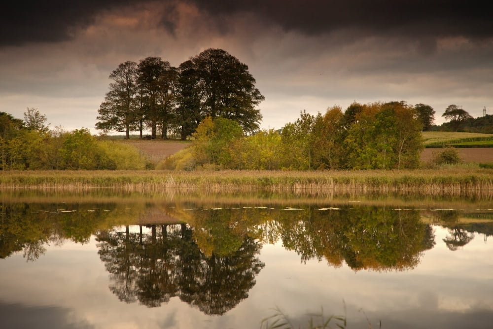 Trees Reflected In The Water Coldstream Scottish Borders Scotland Canvas Art - John Short  Design Pics (19 x 12)