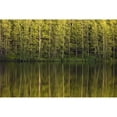 thumbnail image 1 of Trees Reflected In The Water; Foster Quebec Canada Poster Print, 1 of 3