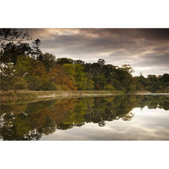 Trees Reflected In Tranquil Water - Scottish Borders, Scotland Poster Print, 38 x 24 - Large