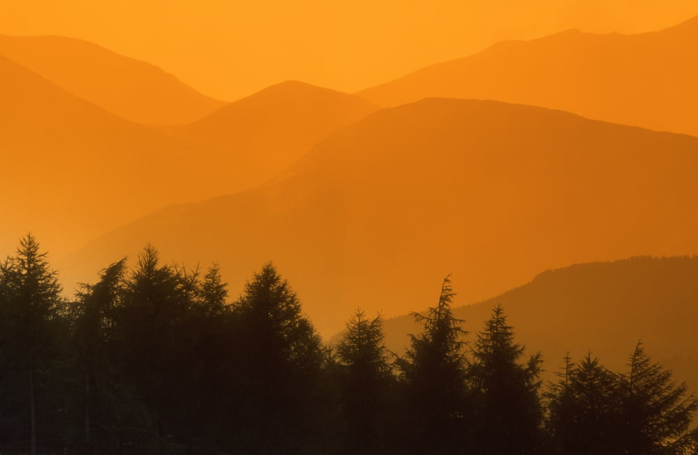Trees Silhouetted Against Hills British Columbia Canada Canvas Art - Bilderbuch Design Pics (17 x 11)
