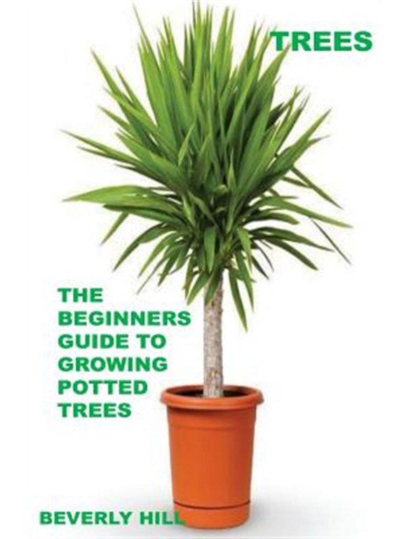 Trees : The Beginners Guide to Growing Potted Trees