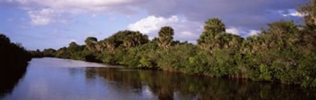 Trees along a channel Venice Sarasota County Florida USA Canvas Art - Panoramic Images (18 x 6)