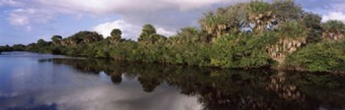 Trees along a channel Venice Sarasota County Florida USA Canvas Art - Panoramic Images (36 x 12)
