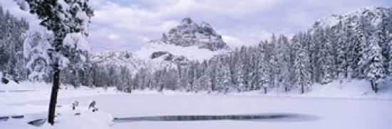 Trees along a frozen lake Lake Antorno Tre Cime Di Lavaredo Dolomites Cadore Province of Belluno Veneto Italy Canvas Art - Panoramic Images (36 x 12)