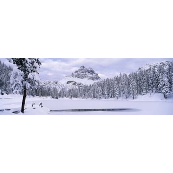 Trees along a frozen lake, Lake Antorno, Tre Cime Di Lavaredo, Dolomites, Cadore, Province of Belluno, Veneto, Italy Poster Print (18 x 6)