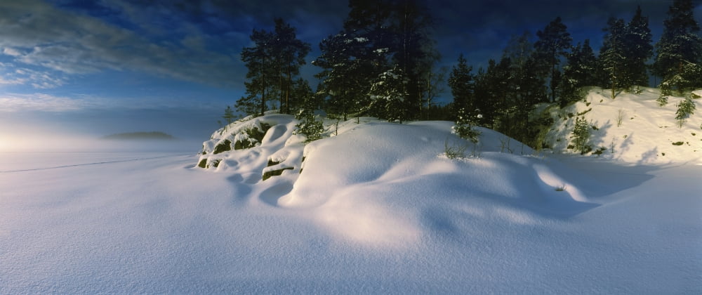 Trees along a frozen lake Saimaa Puumala Southern Savonia Eastern Finland Finland Canvas Art - Panoramic Images (27 x 9)