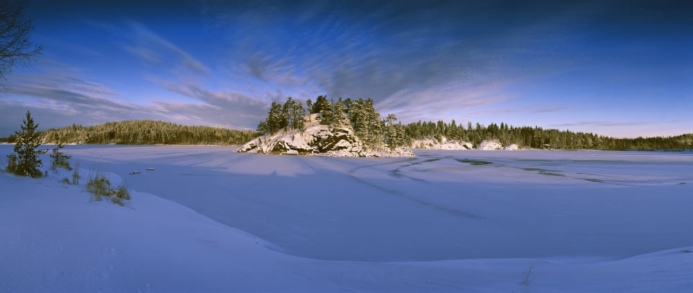 Trees along a frozen lake Saimaa Puumala Southern Savonia Eastern Finland Finland Canvas Art - Panoramic Images (36 x 12)