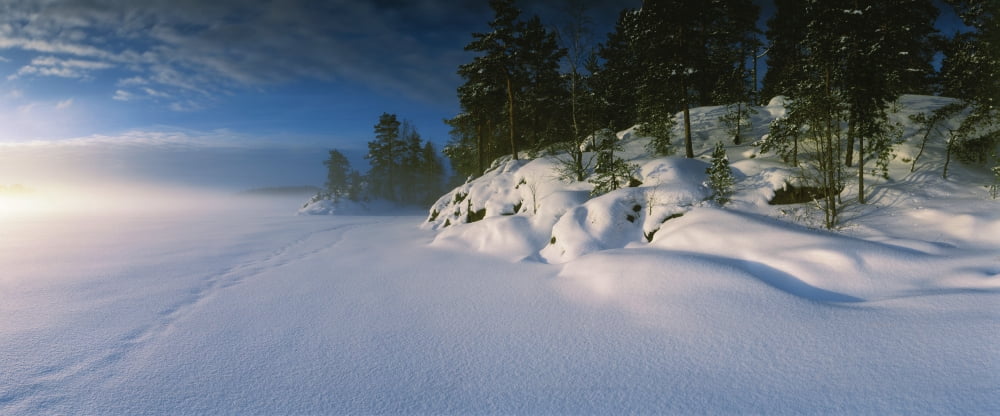 Trees along a frozen lake Saimaa Puumala Southern Savonia Eastern Finland Finland Canvas Art - Panoramic Images (36 x 12)