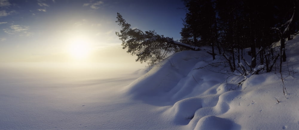 Trees along a frozen lake Saimaa Puumala Southern Savonia Eastern Finland Finland Canvas Art - Panoramic Images (36 x 12)