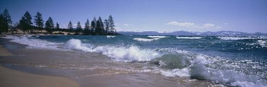 Trees along a lake Lake Tahoe Nevada USA Canvas Art - Panoramic Images (36 x 12)