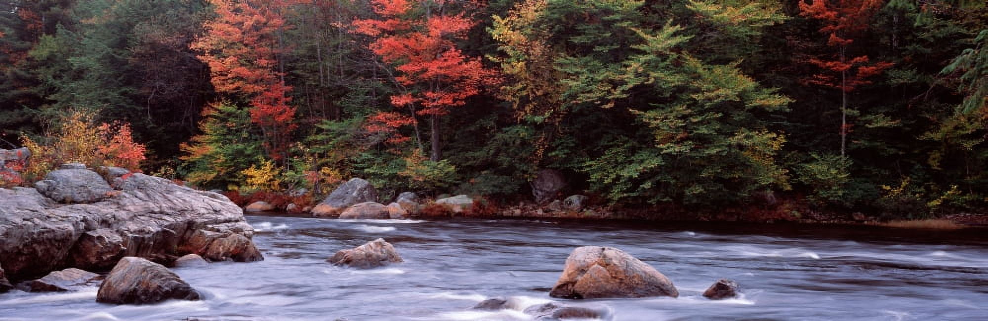 Trees along a river Moose River Adirondack Mountains New York State USA Canvas Art - Panoramic Images (27 x 9)