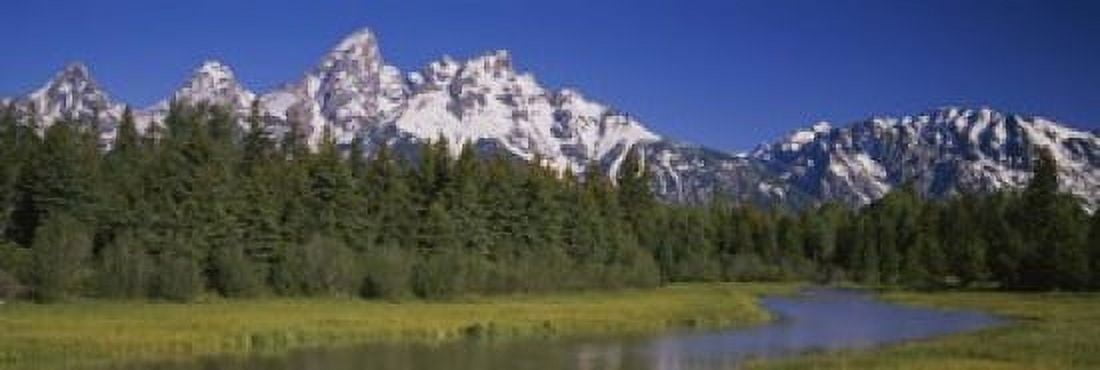 Trees along a river Near Schwabachers Landing Grand Teton National Park Wyoming USA Canvas Art - Panoramic Images (18 x 6)