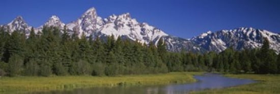 Trees along a river Near Schwabachers Landing Grand Teton National Park Wyoming USA Canvas Art - Panoramic Images (36 x 12)