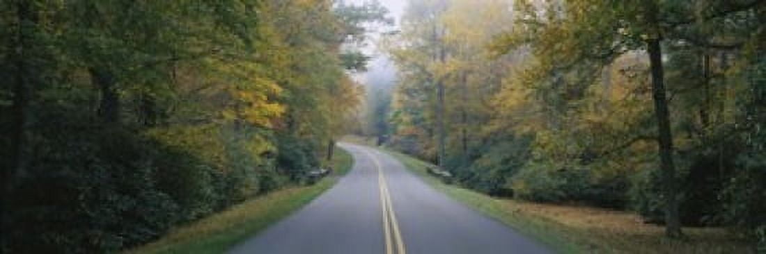 Trees along a road Blue Ridge Parkway North Carolina USA Canvas Art - Panoramic Images (18 x 6)