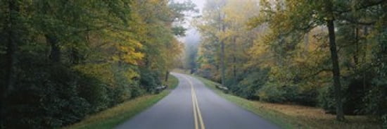 Trees along a road Blue Ridge Parkway North Carolina USA Canvas Art - Panoramic Images (36 x 12)
