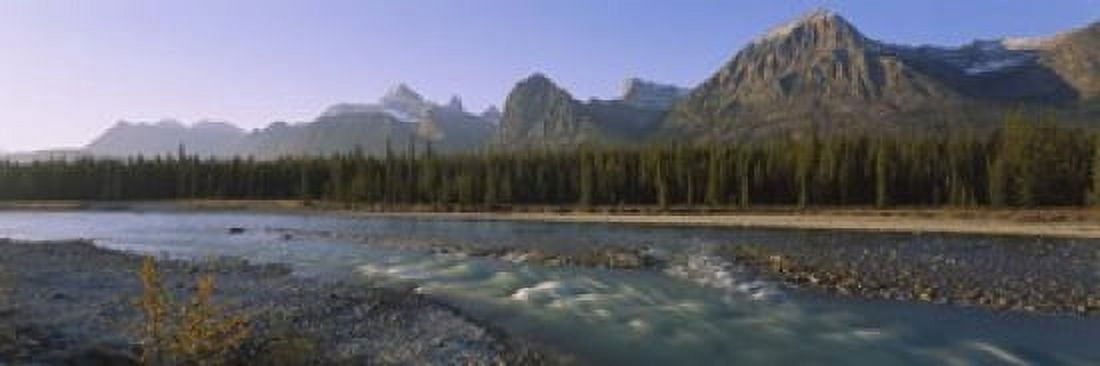 Trees along a river with a mountain range in the background Athabasca River Jasper National Park Alberta Canada Canvas Art - Panoramic Images (18 x 6)