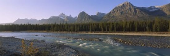 Trees along a river with a mountain range in the background Athabasca River Jasper National Park Alberta Canada Canvas Art - Panoramic Images (36 x 12)