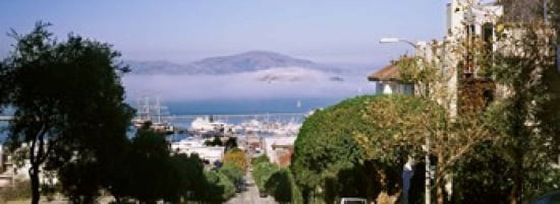 Trees along the Hyde Street San Francisco California USA Canvas Art - Panoramic Images (18 x 7)
