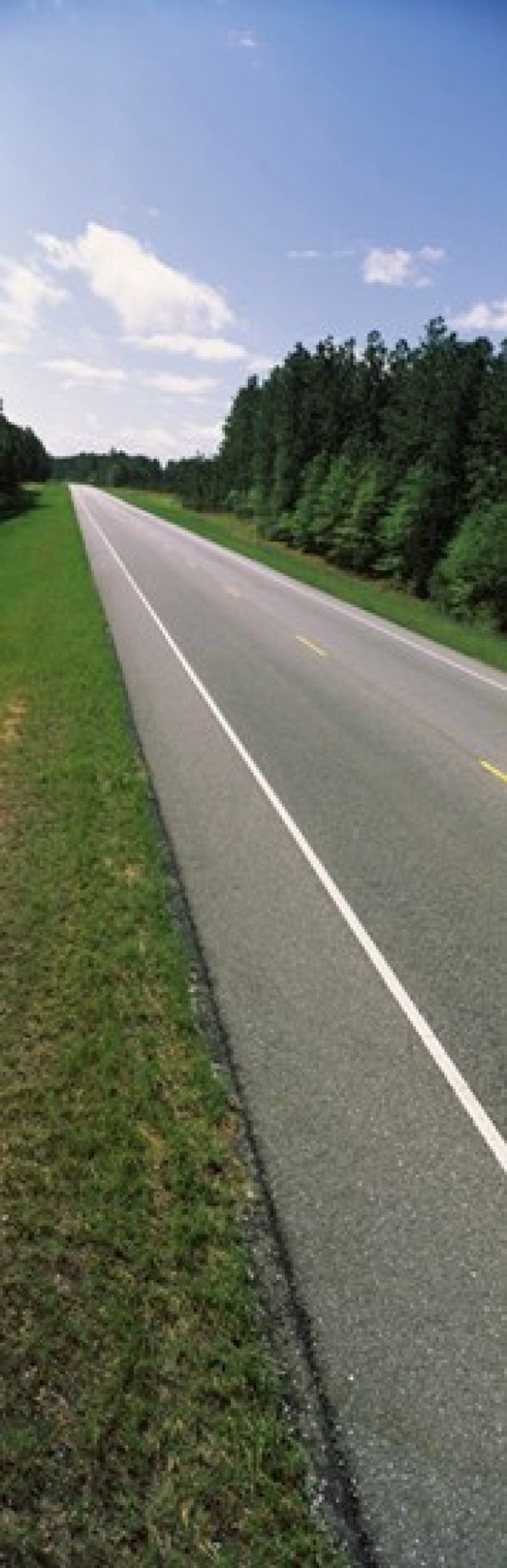 Trees along the road Alabama State Route 113 Alabama USA Canvas Art - Panoramic Images (18 x 6)
