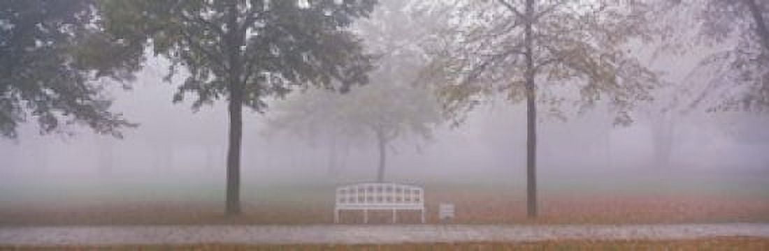 Trees and Bench in Fog Schleissheim Germany Canvas Art - Panoramic Images (18 x 6)