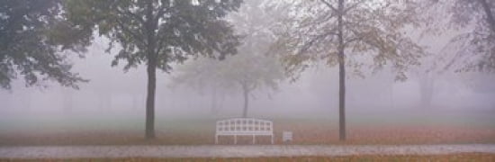 Trees and Bench in Fog Schleissheim Germany Canvas Art - Panoramic Images (36 x 12)