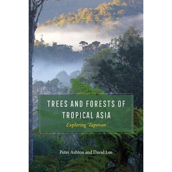 Trees and Forests of Tropical Asia : Exploring Tapovan (Edition 1) (Paperback)