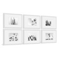 thumbnail image 1 of Trees and Plants Hexaptych, 1 of 6