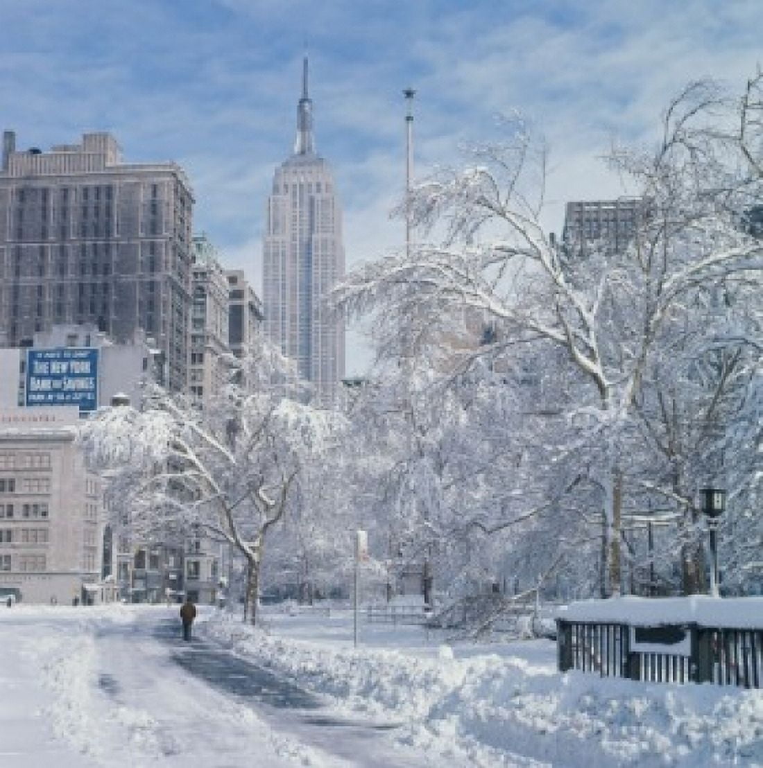 Trees and a road covered with snow in front of skyscrapers Madison Square Manhattan New York City New York USA Canvas Art -  (24 x 36)