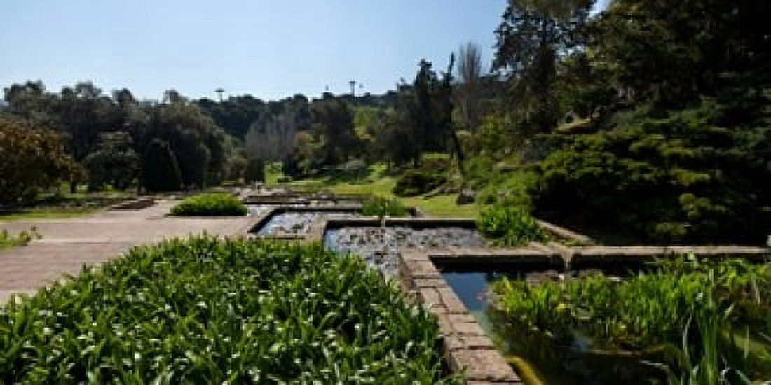 Trees and aquatic plants in the garden Mossen Cinto Verdaguer Gardens Barcelona Catalonia Spain Canvas Art - Panoramic Images (24 x 12)