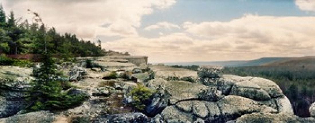 Trees and boulders along the Gertrudes Nose Minnewaska State Park Catskill Mountains New York State USA Canvas Art - Panoramic Images (15 x 6)