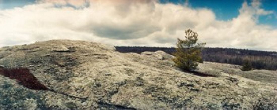 Trees and boulders along the Gertrudes Nose Minnewaska State Park Catskill Mountains New York State USA Canvas Art - Panoramic Images (15 x 6)