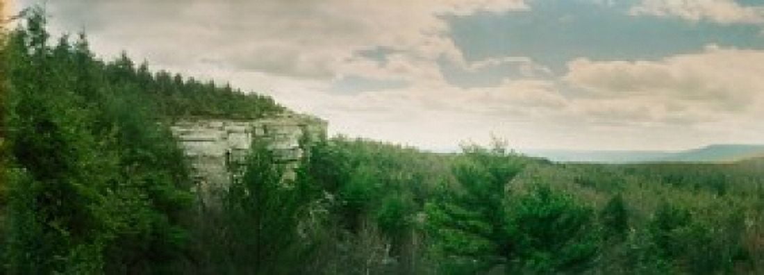 Trees and boulders along the Gertrudes Nose Minnewaska State Park Catskill Mountains New York State USA Canvas Art - Panoramic Images (18 x 7)