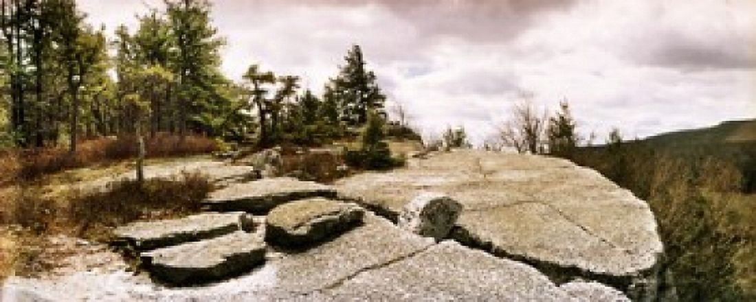 Trees and boulders along the Gertrudes Nose Minnewaska State Park Catskill Mountains New York State USA Canvas Art - Panoramic Images (30 x 12)