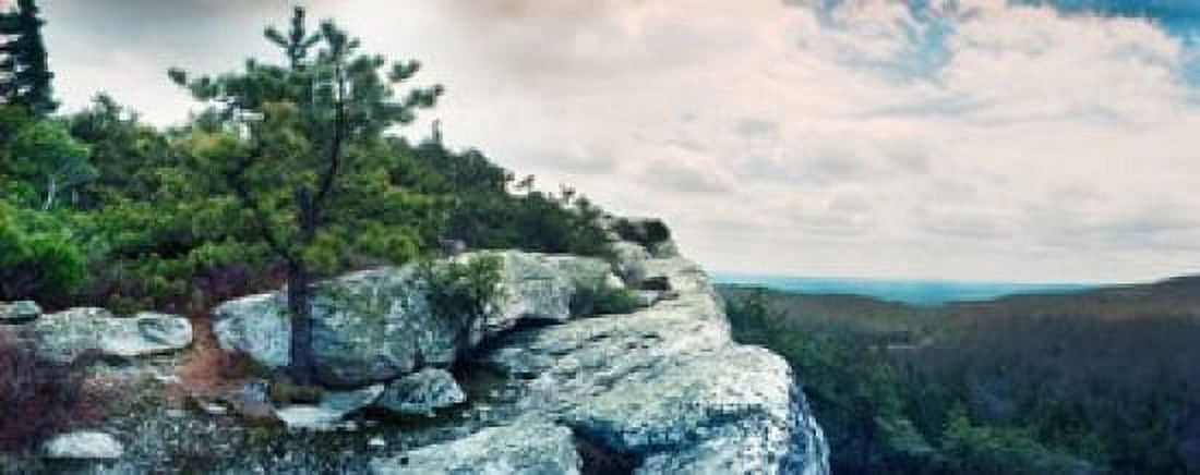 Trees and boulders along the Gertrudes Nose Minnewaska State Park Catskill Mountains New York State USA Canvas Art - Panoramic Images (30 x 12)
