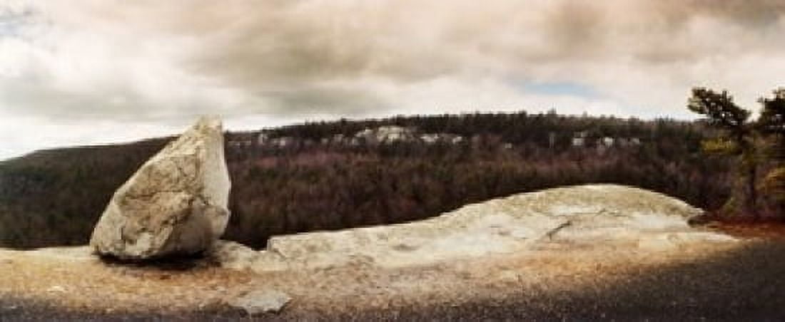 Trees and boulders along the Gertrudes Nose Minnewaska State Park Catskill Mountains New York State USA Canvas Art - Panoramic Images (30 x 13)