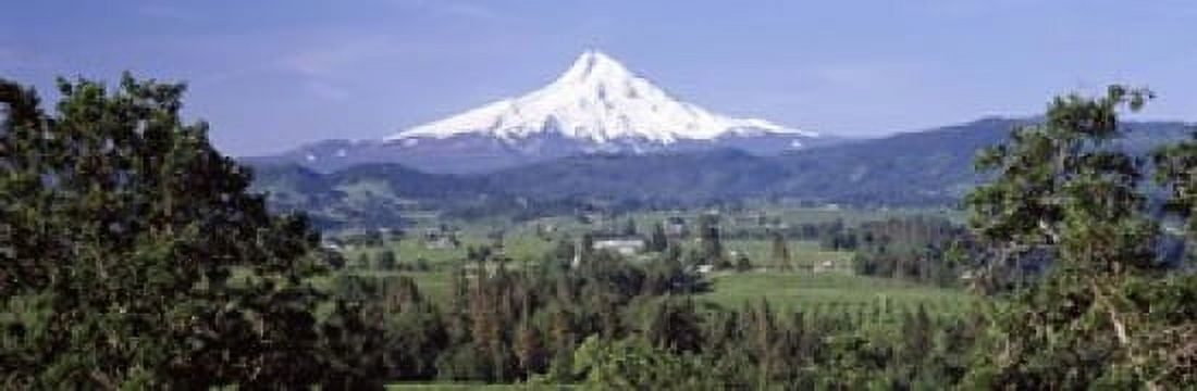 Trees and farms with a snowcapped mountain in the background Mt Hood Oregon USA Canvas Art - Panoramic Images (18 x 6)