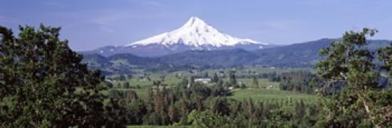 Trees and farms with a snowcapped mountain in the background Mt Hood Oregon USA Canvas Art - Panoramic Images (36 x 12)