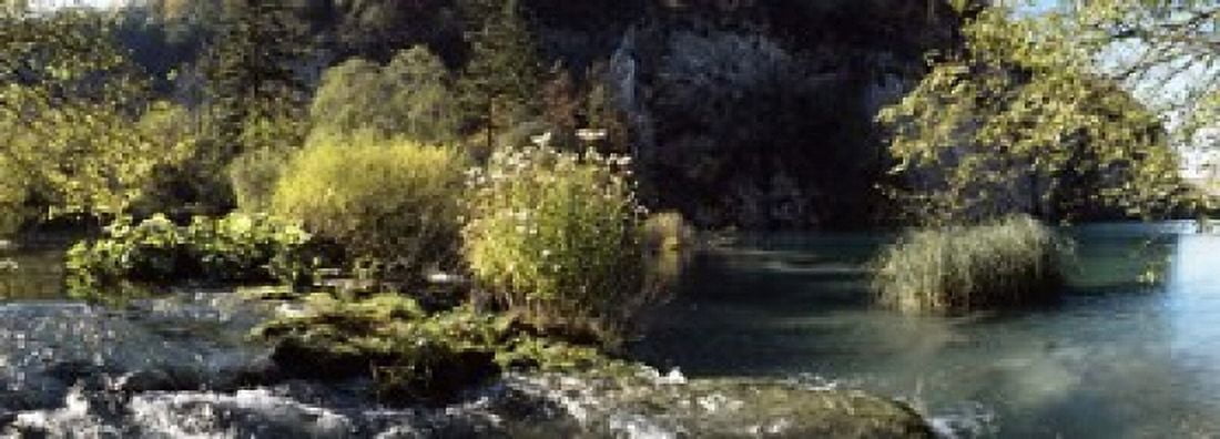 Trees and plants at the lakeside Plitvice Lake Plitvice Lakes National Park Croatia Canvas Art - Panoramic Images (18 x 7)