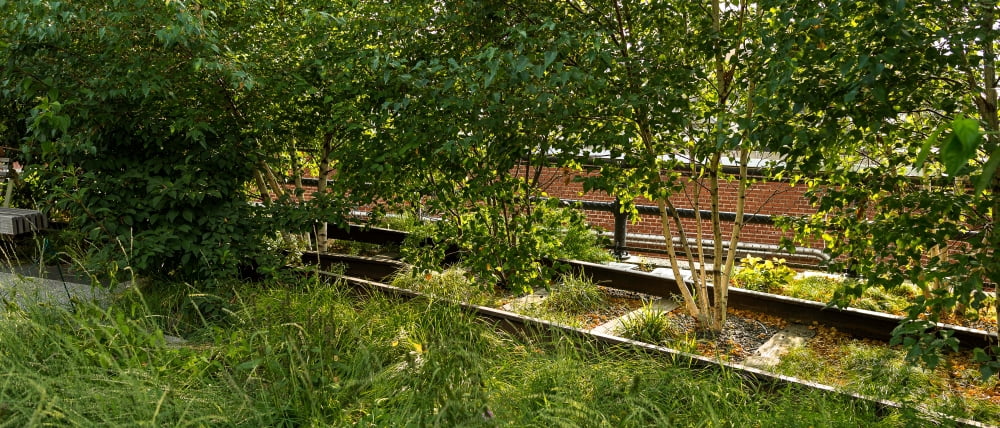 Trees and railroad track in a park High Line Park Lower West Side Manhattan New York City New York State USA Canvas Art - Panoramic Images (27 x 9)