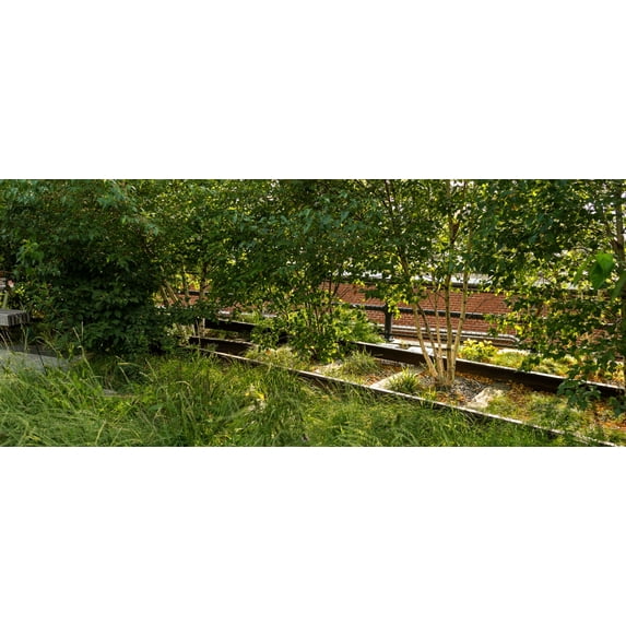 Trees and railroad track in a park, High Line Park, Lower West Side, Manhattan, New York City, New York State, USA Poster Print (27 x 9)