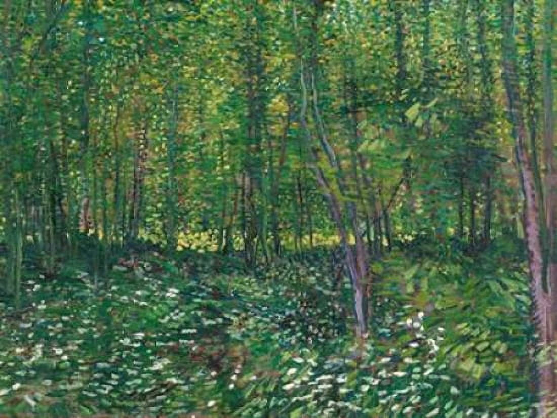 Trees and undergrowth Canvas Art - Vincent van Gogh (22 x 28)