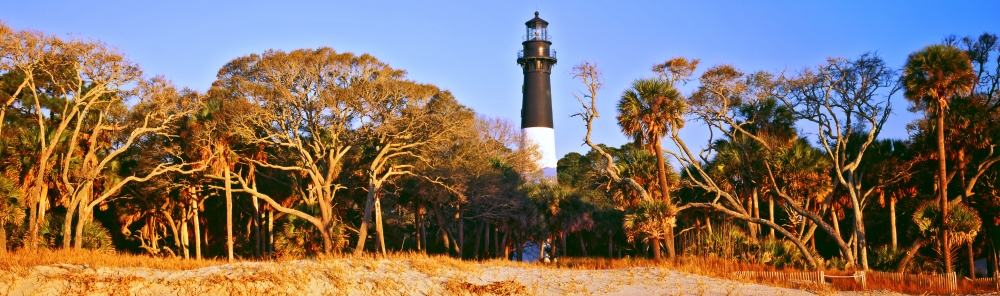 Trees around a lighthouse Hunting Island Lighthouse Hunting Island State Park Hunting Island Beaufort South Carolina USA Canvas Art - Panoramic Images (36 x 12)