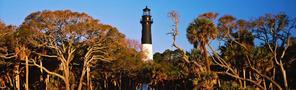 Trees around a lighthouse Hunting Island Lighthouse Hunting Island State Park Hunting Island Beaufort South Carolina USA Canvas Art - Panoramic Images (36 x 12)