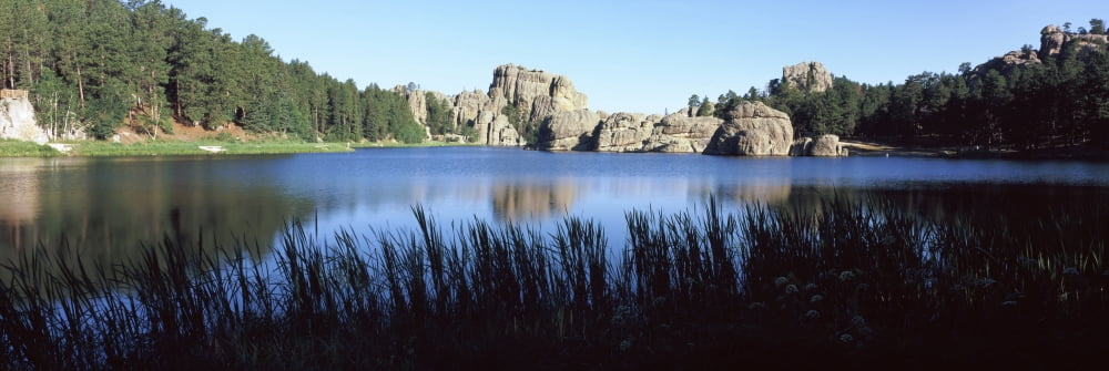 Trees around the lake Sylvan Lake Black Hills Custer State Park Custer County South Dakota USA Canvas Art - Panoramic Images (36 x 12)