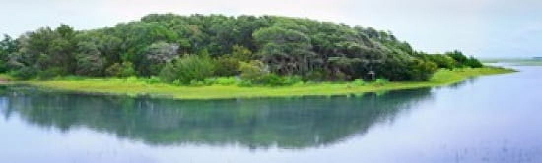 Trees at Rachel Carson Coastal Nature Preserve Beaufort North Carolina USA Canvas Art - Panoramic Images (15 x 5)