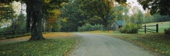 Trees at a roadside Vermont USA Canvas Art - Panoramic Images (36 x 12)