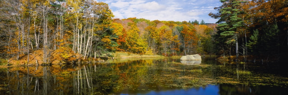 Trees at lakeside in autumn Hancock Monadnock Region New Hampshire USA Canvas Art - Panoramic Images (12 x 36)